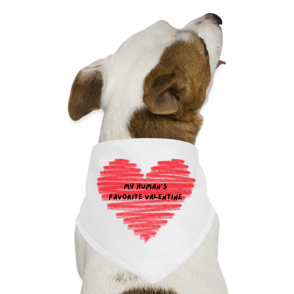 “My Human’s Favorite Valentine”-Dog Bandana - white